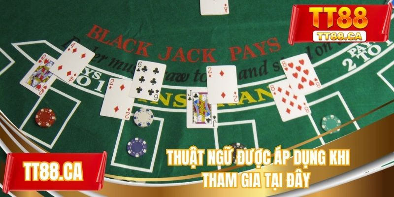 Thuật ngữ được áp dụng khi tham gia tại đây